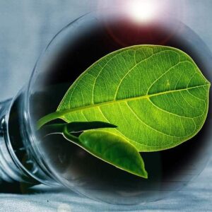 Earth Day and the Importance of Green Energy